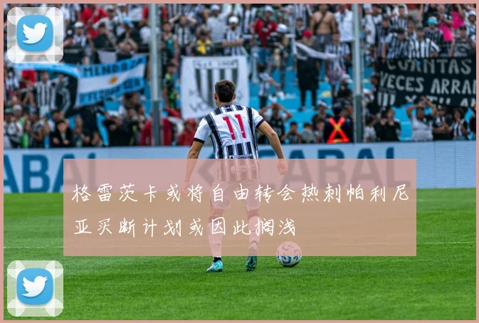 格雷茨卡或将自由转会热刺帕利尼亚买断计划或因此搁浅